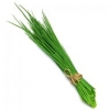 Зеленый лук (шнитт-лук) свежий