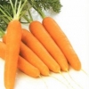 Жёлтая морковь свежая